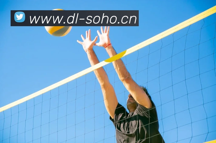 App Interface Preview