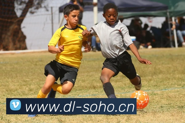 lejing乐竞体育APP 封面图